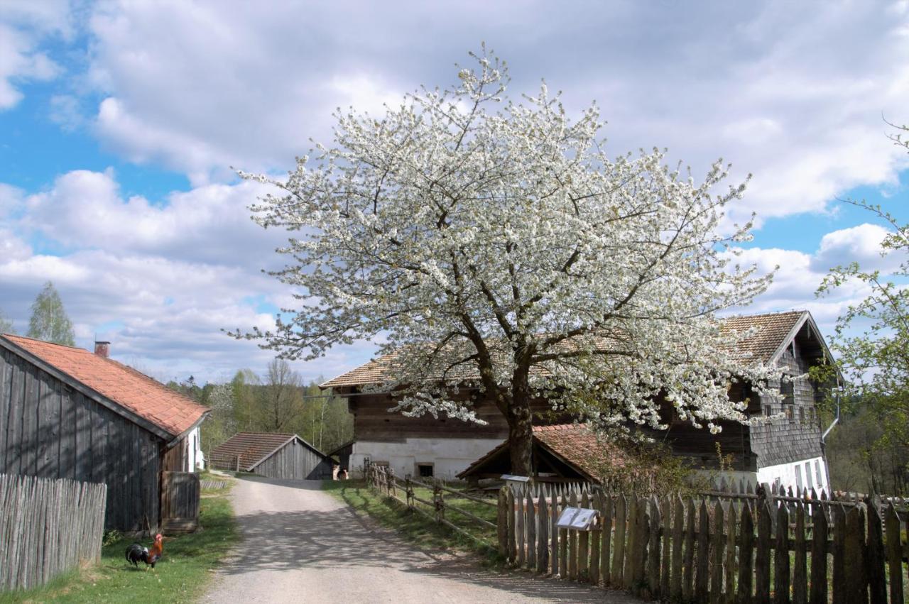 Ferienwohnung Seenglueck Ваккерсдорф Экстерьер фото